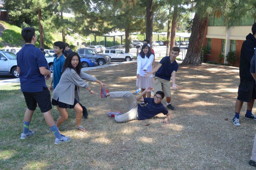 The members of ASB pose as different animals.