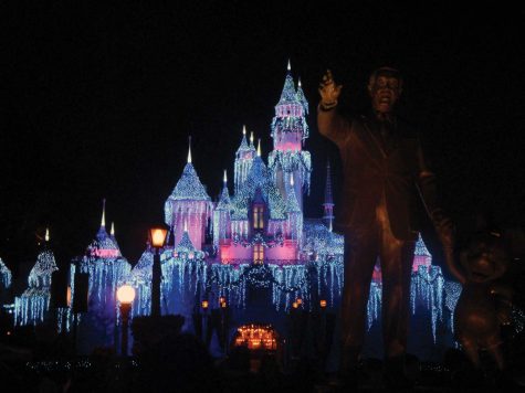 The Sleeping Beauty Castle, with its special winter decorations, lights up  the center of the park at night. 