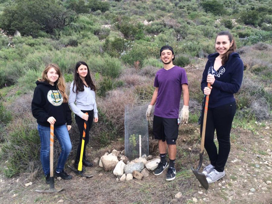 My fellow Key Club members and I went to Deukmejian Wilderness Park and planted two trees.
