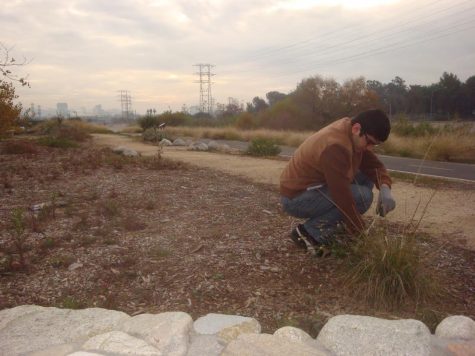 Clark junior Hayk Martirosyan is working on cleaning the seemingly desolate Glendale Narrows Riverwalk. This sort of work is done monthly hoping to heal the earth and recover the flora. 