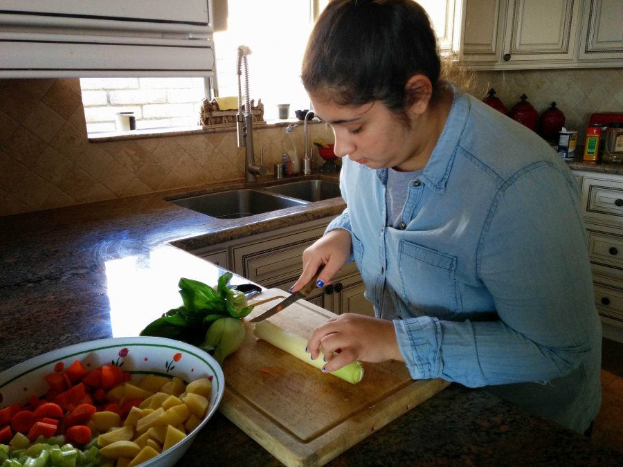 Baboomian cutting vegetables to make chicken noodle soup.
