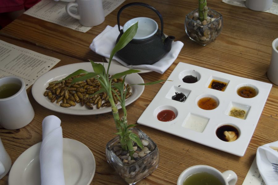 The+arrangement+of+silkworms+and+the+nine+different+sauces+offered+by+Typhoon+Kitchen.