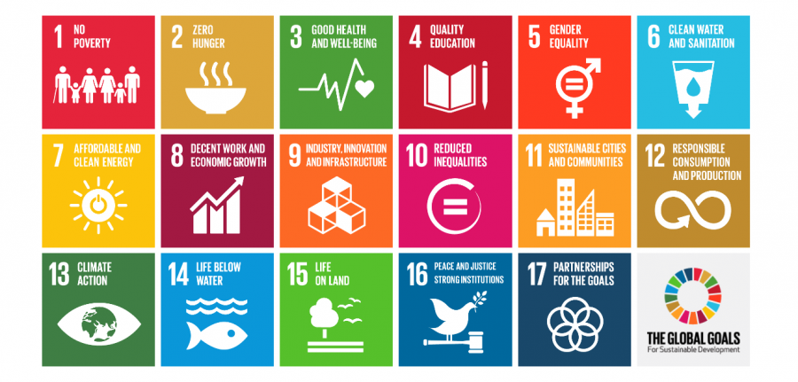 The+17+Sustainable+Development+Goals+for+the+next+15+years.