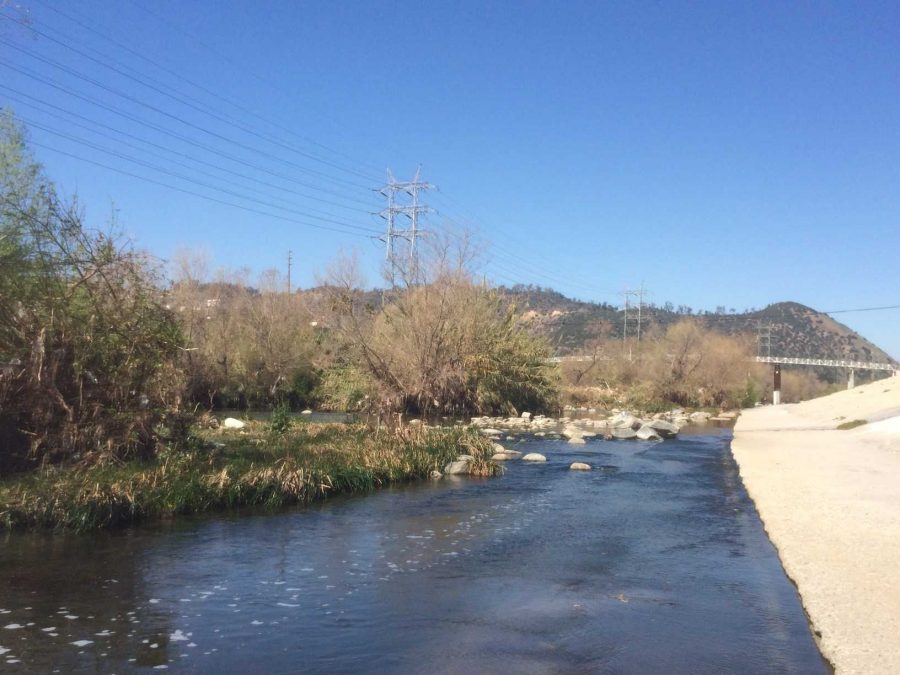 The river pointing north between the Glendale Blvd and Los Feliz bridges.