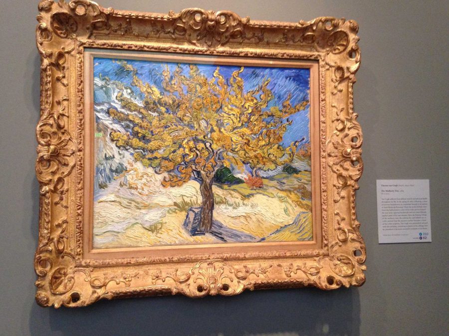 Vincent Van Goghs original Mulberry Tree is one of the many permanent exhibition paintings at Norton Simon.