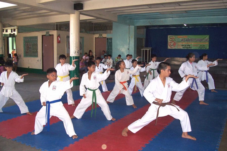 Students of different ranks practicing karate.