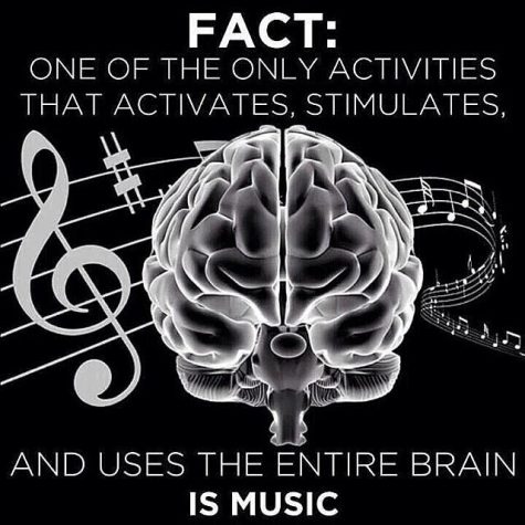 The brain is stimulated with music as it stimulates it. 
