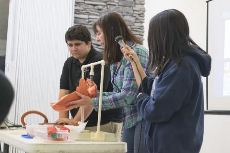 Judy Winter is demonstrating a healthy pig lung to the TUPE students.