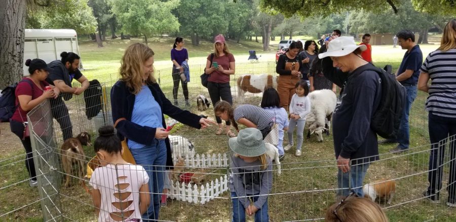  The people enjoying the petting zoo at the CV County Fair.