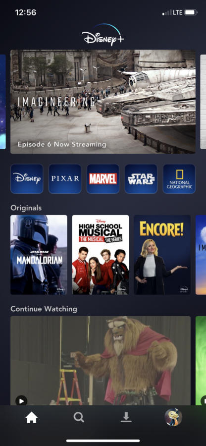 Disney+s colorful interface appeals to a distinct audience