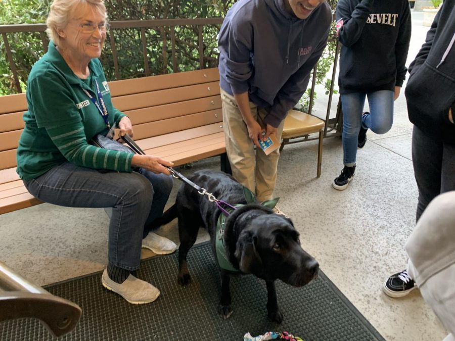 A playful service dog stood at the entrance of La Canada Congregational Church, ready to be petted by everyone. 