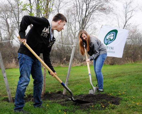 SYBO Games to Plant 200,000 Trees With Partner Ecologi, Coinciding With UN  Climate Change Conference UK 2021 Amid Massive Global Climate Crisis