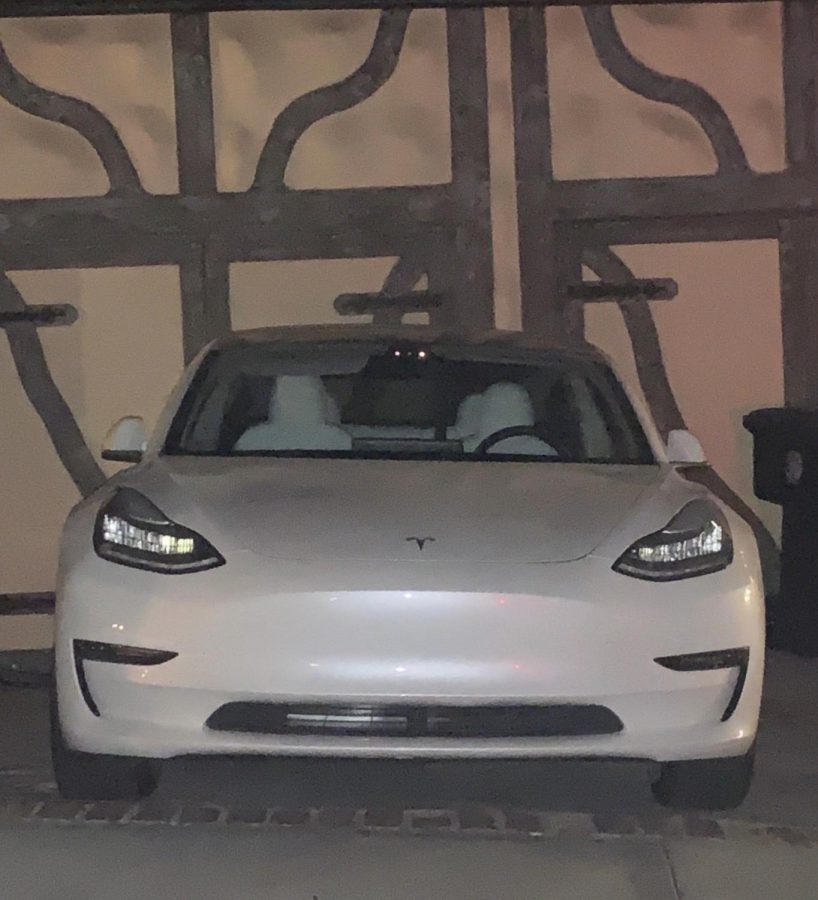 Angelle Adorable recently purchased a Tesla Model 3 to help reduce her carbon emissions footprint