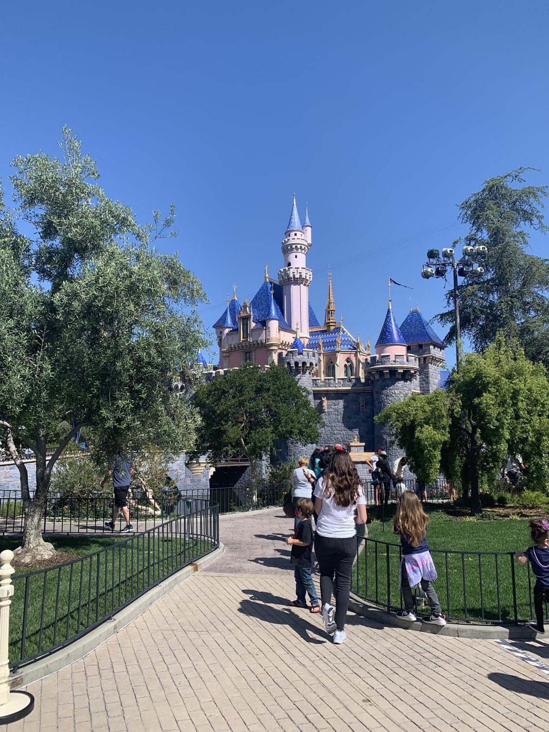 Disneyland safely reopens and creates magic, despite pandemic