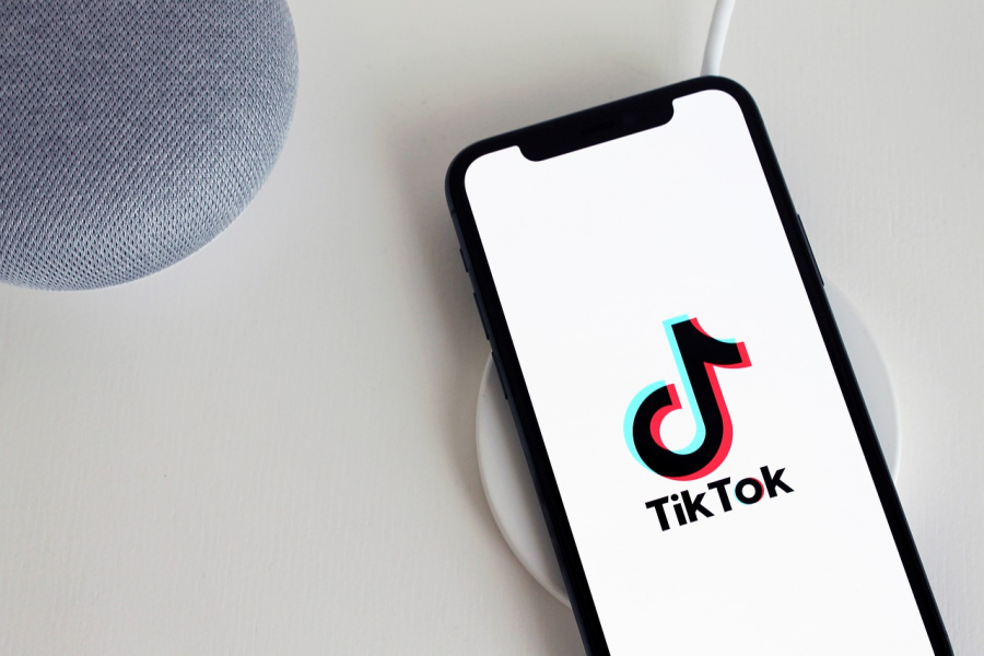 TikTok has been around since 2016 and has gained a steady number of users over the past four years. 

