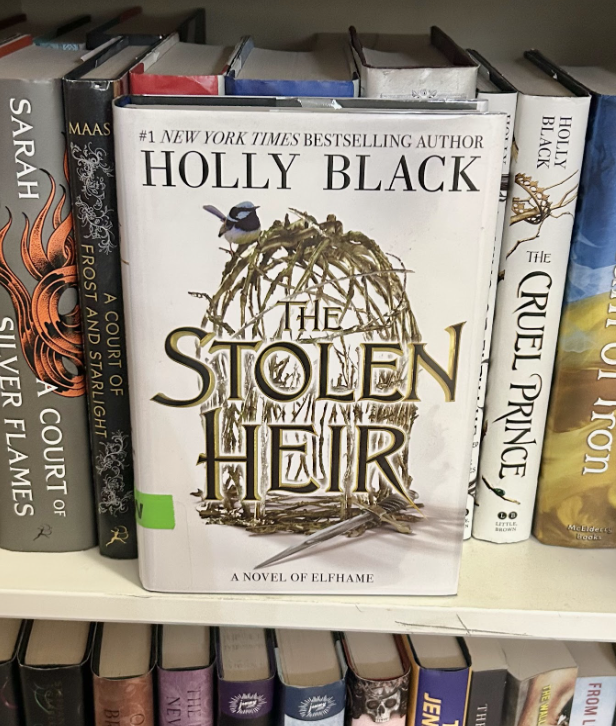 The Stolen Heir was released earlier this year and is the first to Holly Black’s new series in Elfhame. 