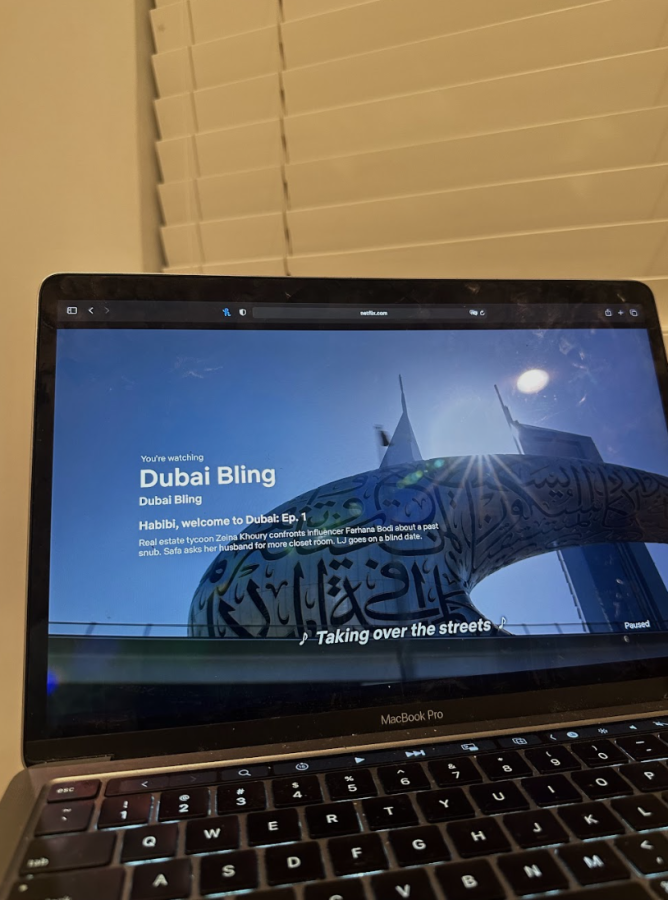 Dubai Bling is now streaming on Netflix for users.