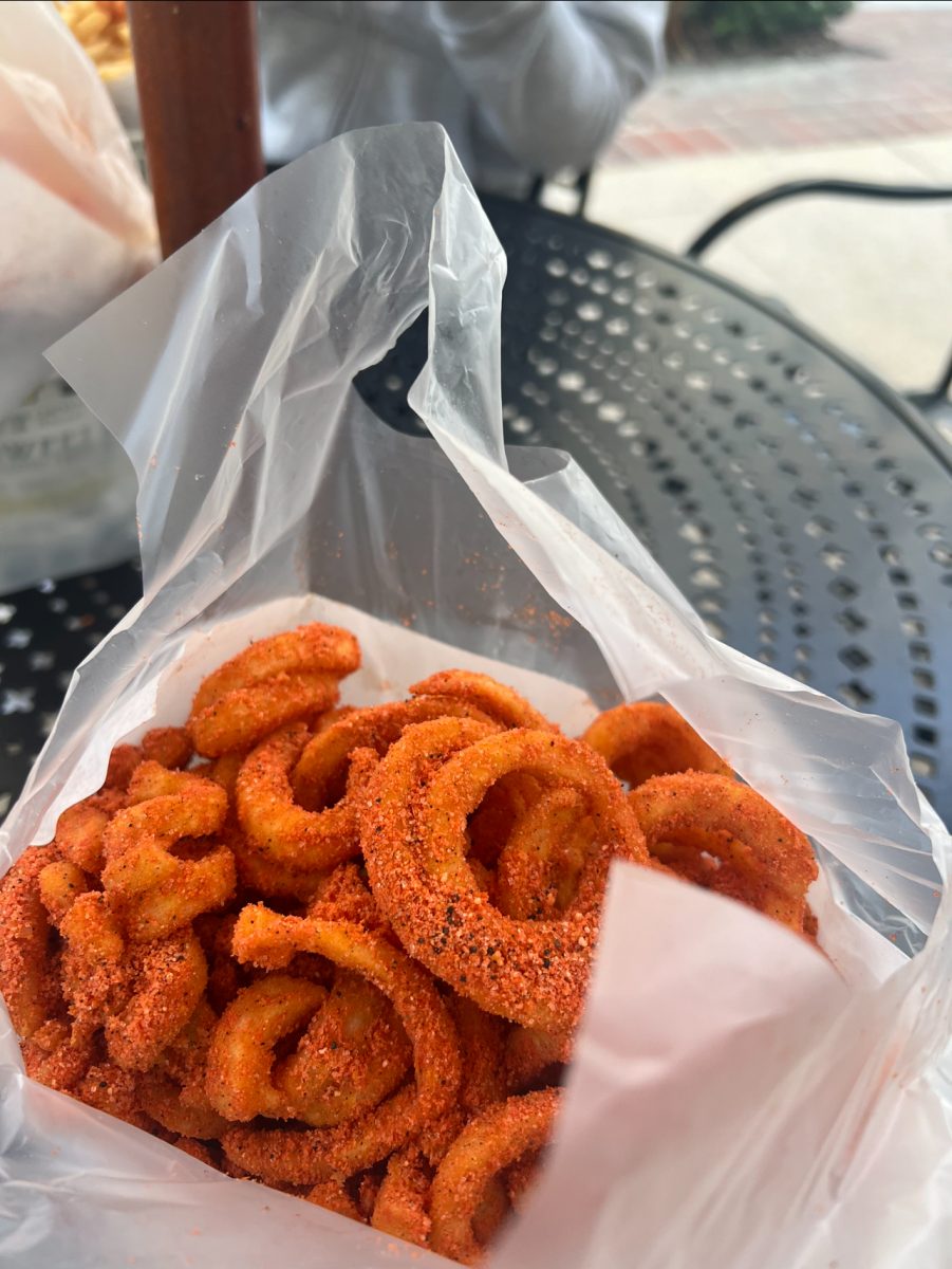  Photo of chili barbeque shaker fries from Potato Corner.