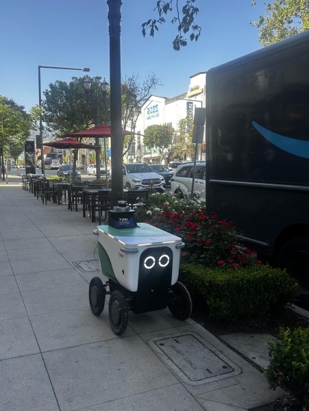 The rare sightings of these sidewalk delivery robots  may become a common occurrence in the future.

