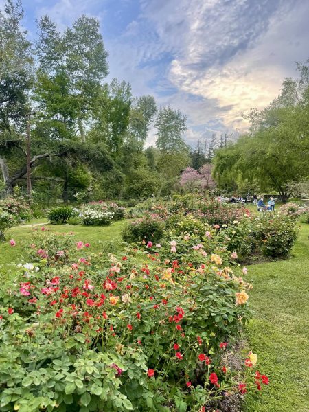  Colorful flowers found in the Descanso Gardens