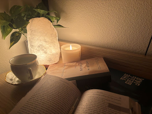 Crime and Punishment, The Bell Jar, and The Secret History accompanied by warm lighting and candles.